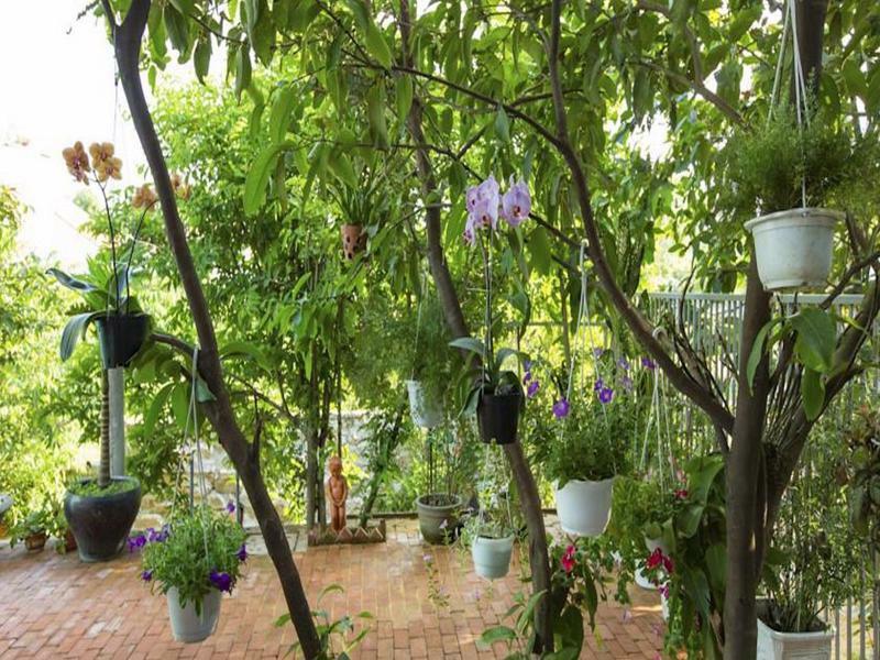 Quynh Nhan Homestay Hội An Buitenkant foto